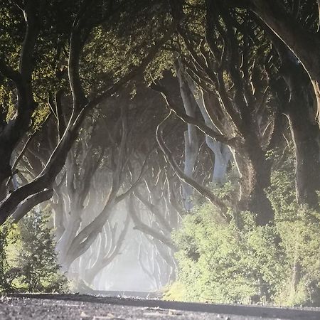 Dark Hedges Cottage Ballycastle Εξωτερικό φωτογραφία