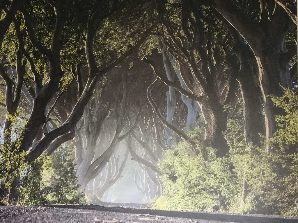 Dark Hedges Cottage Ballycastle Εξωτερικό φωτογραφία