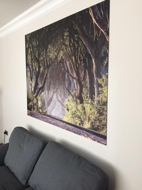 Dark Hedges Cottage Ballycastle Εξωτερικό φωτογραφία